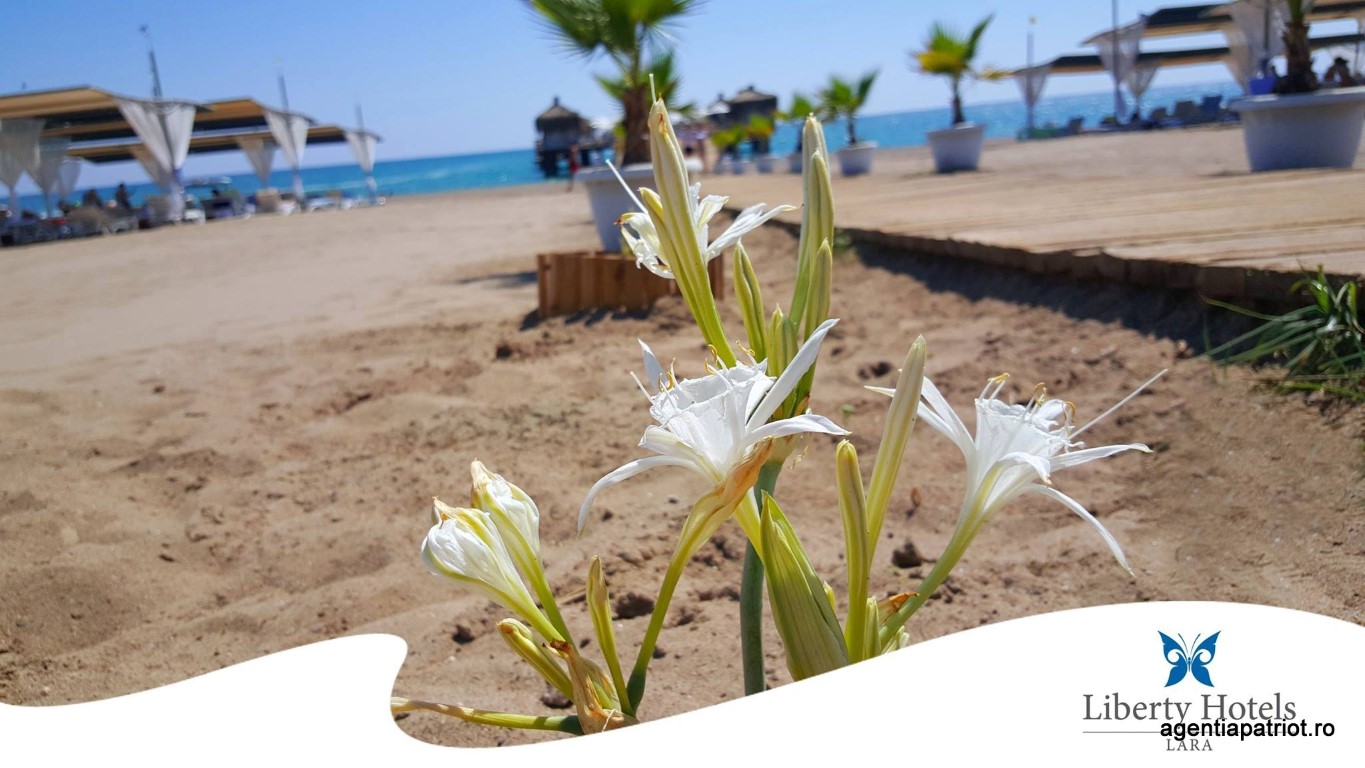 imagini hotel LIBERTY LARA BEACH